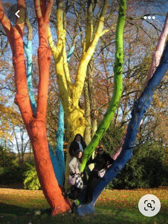 Sensory Garden